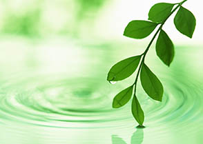 第２回　ラーケーション・プロジェクト亀岡が開催されました イメージ